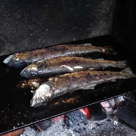 Fra' Dolcino *